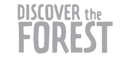 Discover the Forest logo